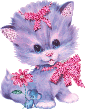 ToakitodeBoa