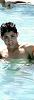 Dennis_Carott
