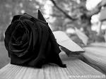 Sr_Jhon_Twister