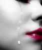 Dorys_StarNig