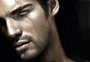 Wolf_Gunter