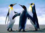 rafaelaneves_789