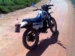 raphael_sp