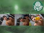 vitinho_gato_cam