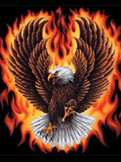 DjFire_leal_O