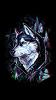 ºThomWF_
