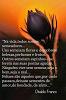 Carlos_Martin