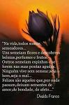 Carlos_Martins