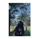 _Rosinha_
