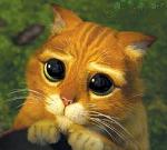 Diego_Potter