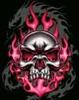 azsd