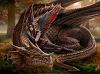 Dragon_STARS