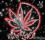 ªªLØBÄ_ª_LØKÄ_ª_ÄCËRØªª