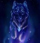 LobaBlack_Acero