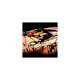 Chocolate_AnGeLs_Acero_Reis