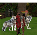 LOBO_FEROZ_AC