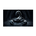 ººScorpion_Ne