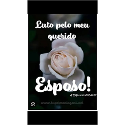 ªªLuaLenna_Loba_Aceroªª